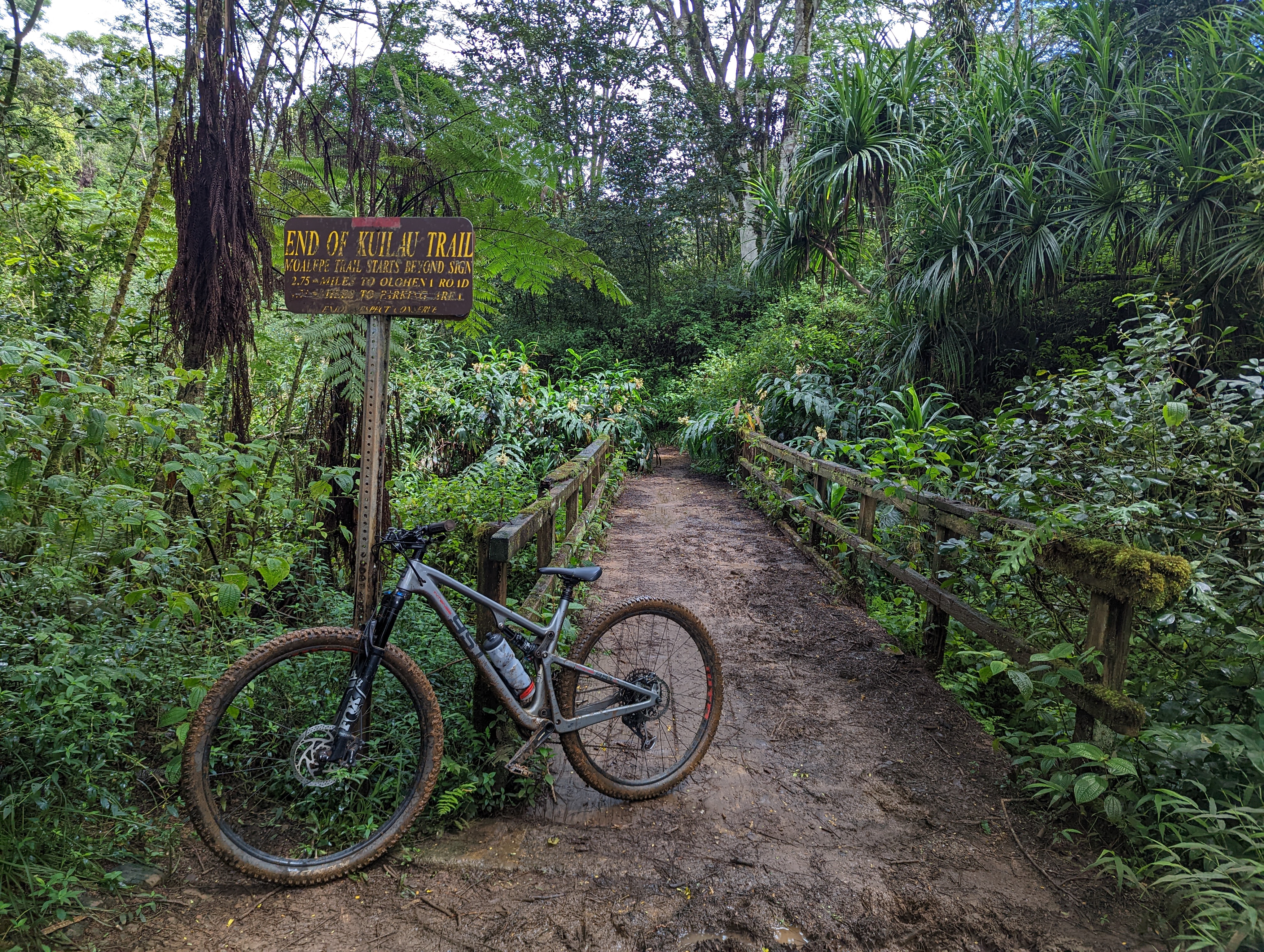 Moalepe and Kuilau Ridge Trails
